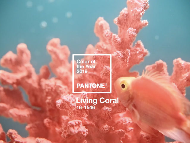 Living Coral Pantone