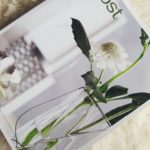 Le-grammage-papier-5 Quel grammage papier choisir en impression ? Le grammage papier 5