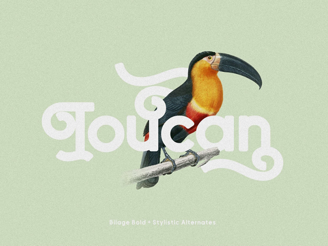 10 tendances typographiques 2022 à adopter Arrondie 3 1