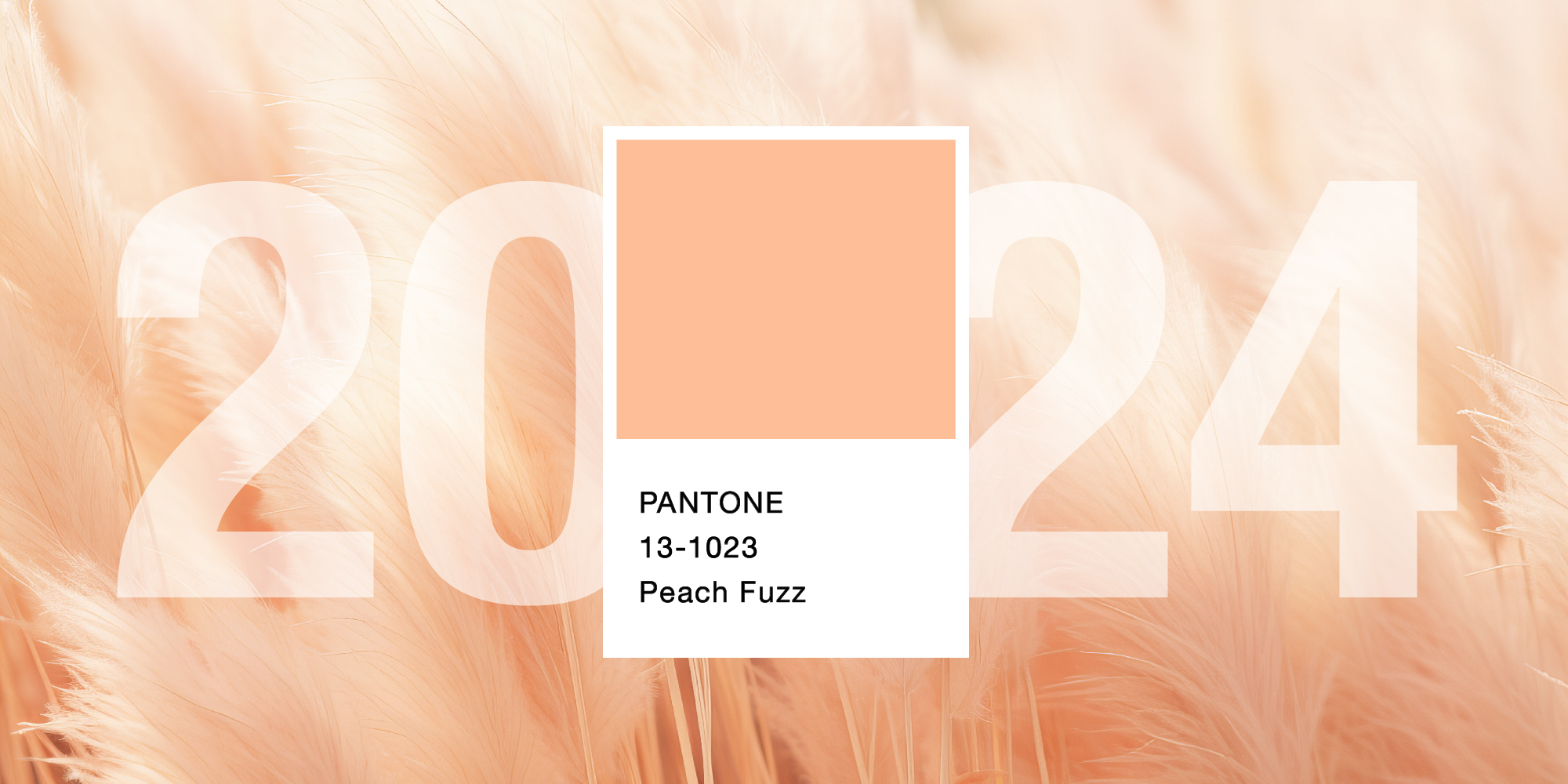 Pantone 2024 Peach Fuzz, entre tendresse et bienêtre Urself